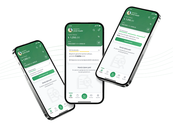 Mergen project visual